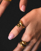 Anillo Vibora