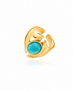 Anillo Celeste