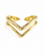 Anillo Vela