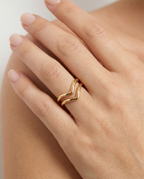 Anillo Vela