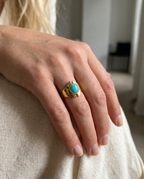 Anillo Celeste