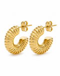 Pendientes Relieve Áureo
